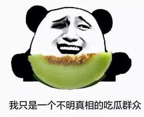 当个吃瓜群众就好,当个吃瓜群众，看人间百态